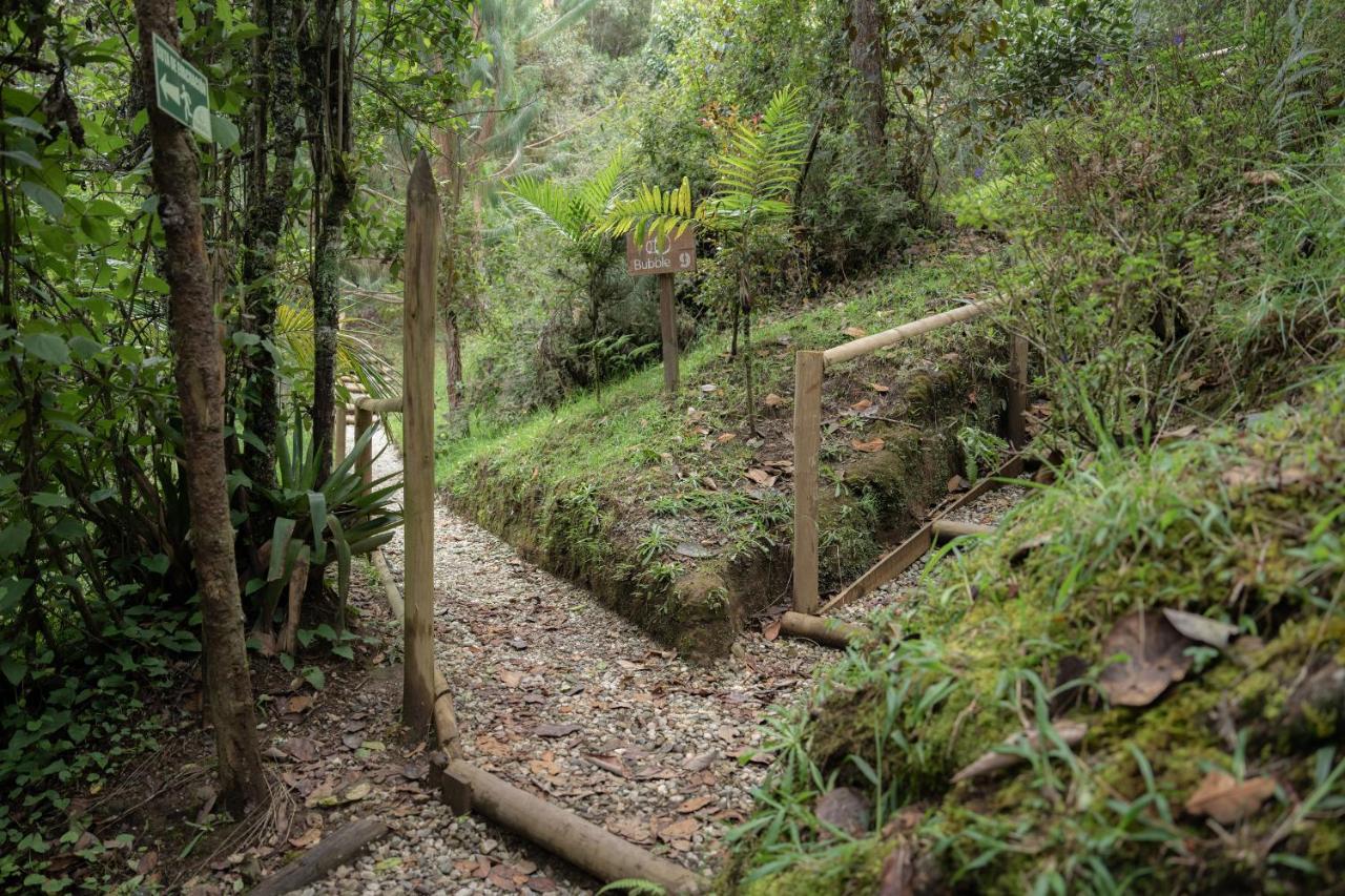 Bubblesky Glamping 40 Min From Medellin Hotel El Retiro  Exterior photo