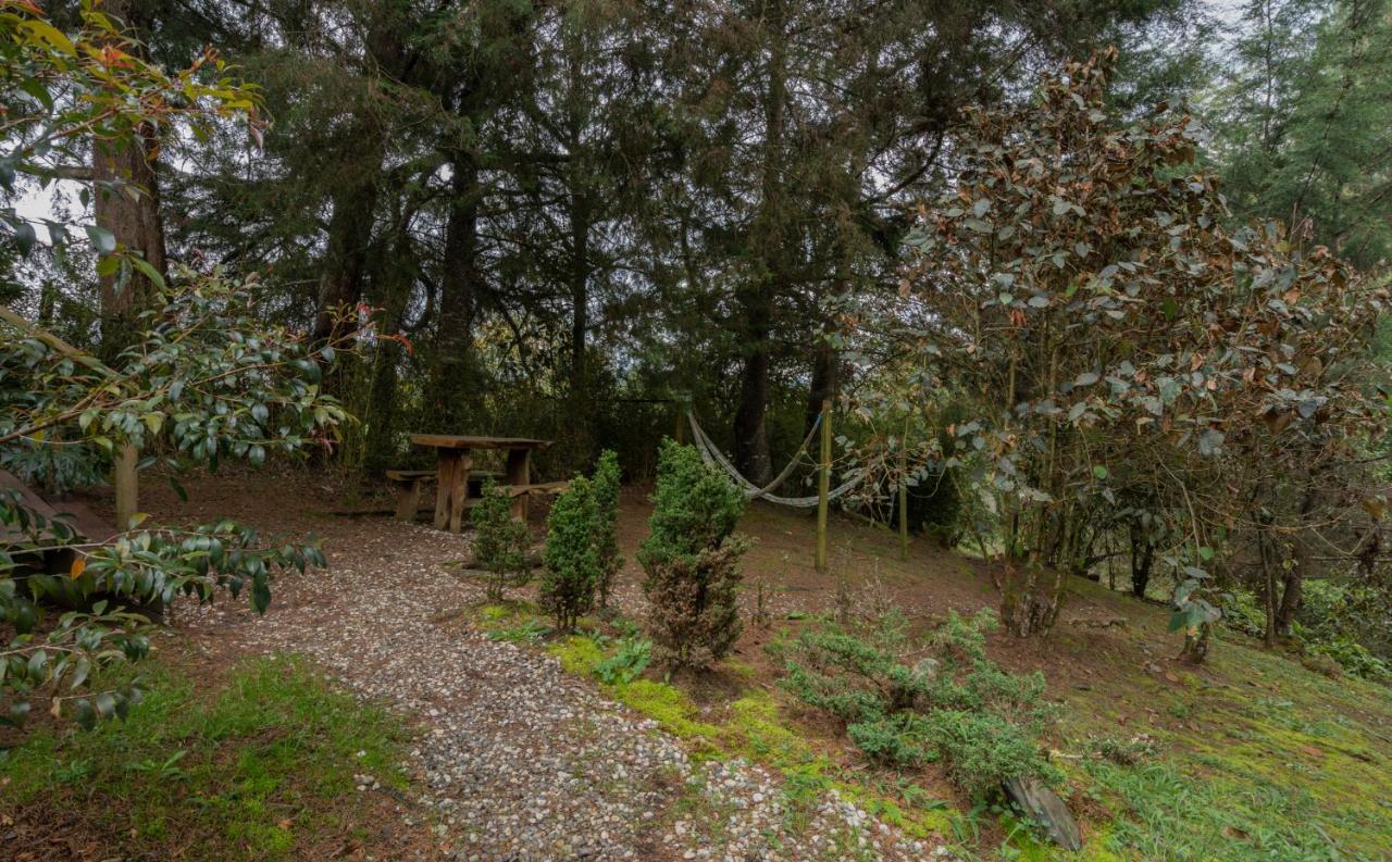 Bubblesky Glamping 40 Min From Medellin Hotel El Retiro  Exterior photo